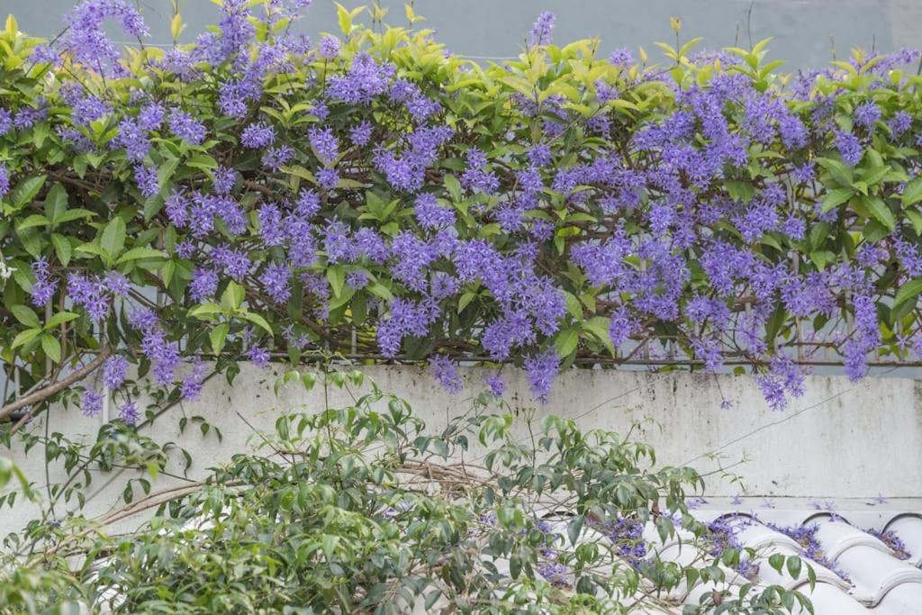 Morada Das Flores Porto Alegre Exterior photo
