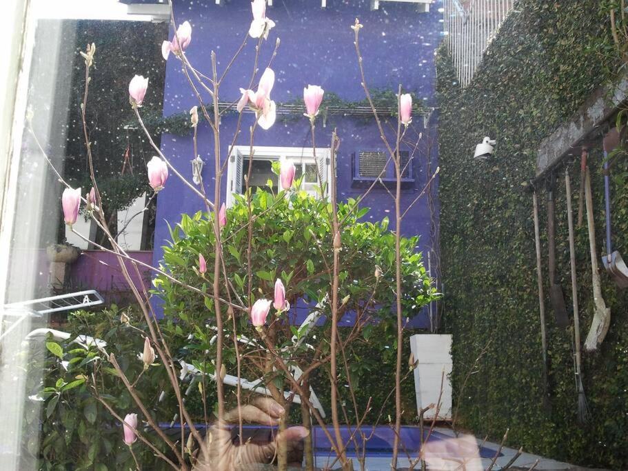 Morada Das Flores Porto Alegre Exterior photo